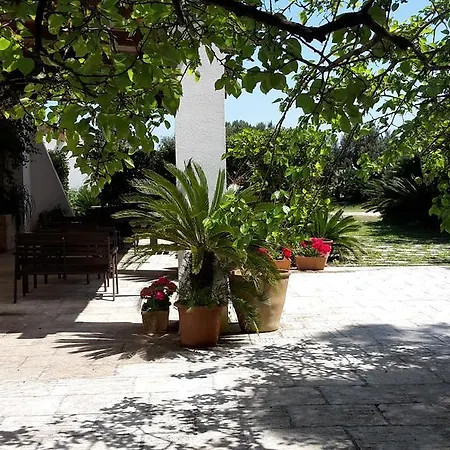 Vignavecchia