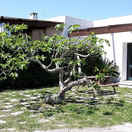 Lantgård Vignavecchia