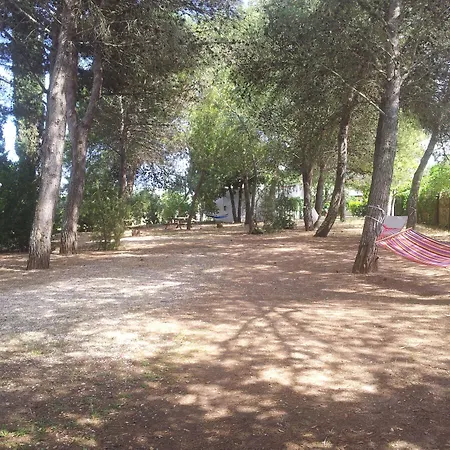 Vignavecchia * Vignacastrisi