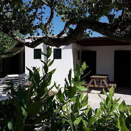 Vignavecchia