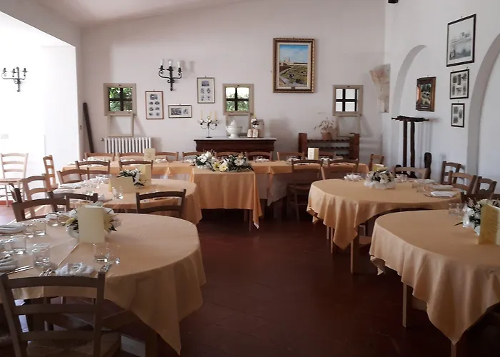 Vignavecchia * Vignacastrisi