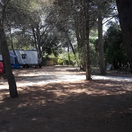 Vignavecchia *