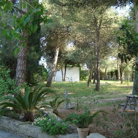 Feriegård Vignavecchia